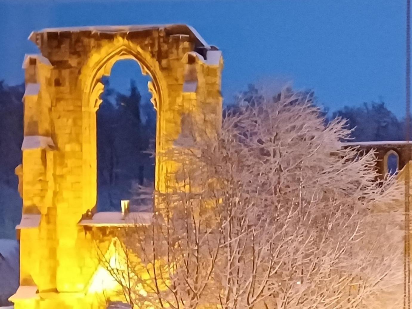Ferienwohnungen Klosterblick Walkenried エクステリア 写真