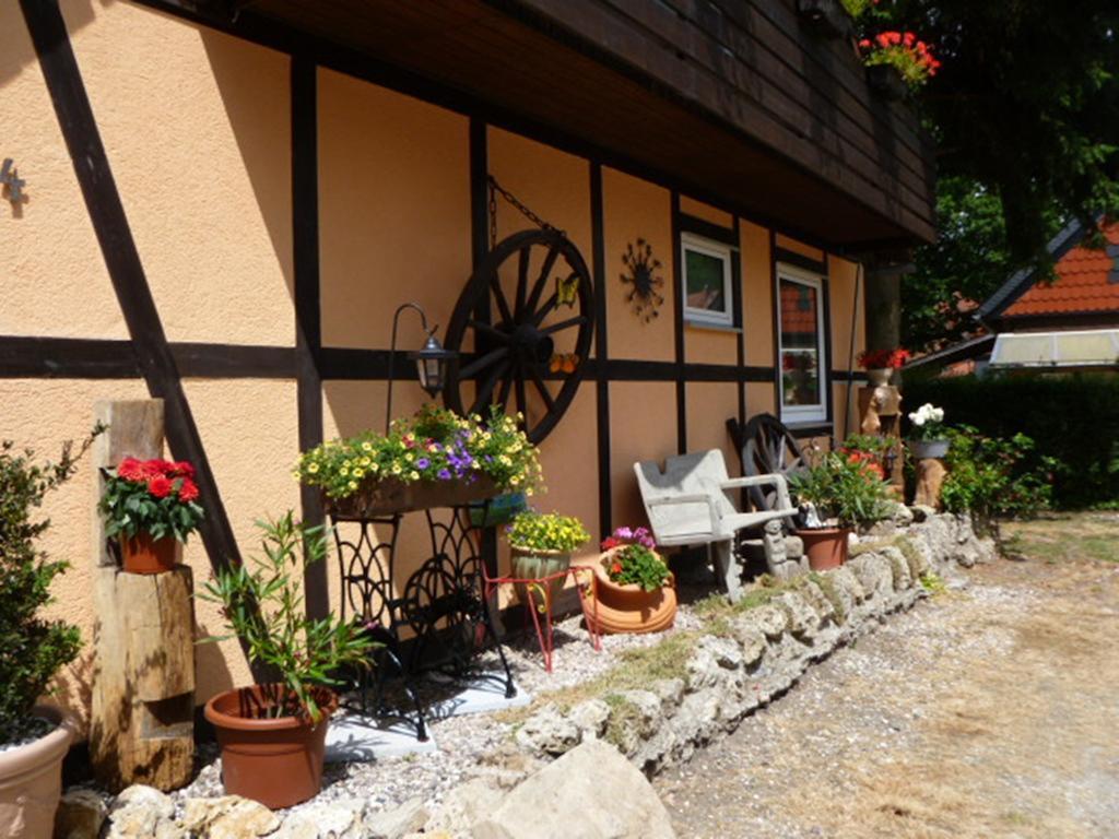 Ferienwohnungen Klosterblick Walkenried エクステリア 写真