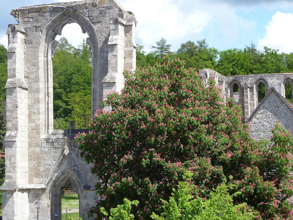 Ferienwohnungen Klosterblick Walkenried エクステリア 写真