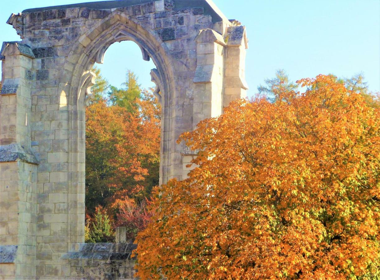 Ferienwohnungen Klosterblick Walkenried エクステリア 写真